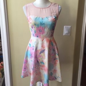 Forever 21 Pink Floral Fit and Flare Dress